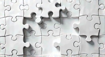 Puzzle-Problematik: Vitruvianischer Mensch, Kulturgüterschutz, Urteilskontroverse
