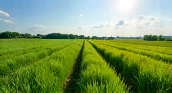 Wirtschaftliche Folgen des Pestizideinsatzes: Eine ökonomische Perspektive (8/10)