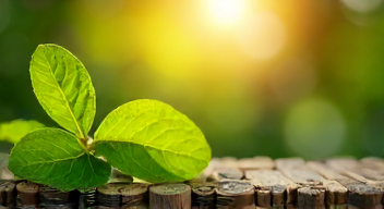 Die Rolle von Kunst und Musik in der Gesundheitskommunikation (10/10)